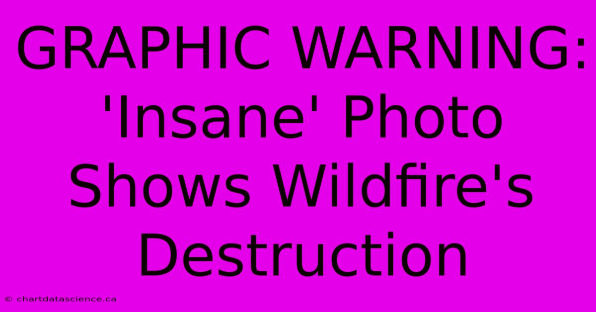 GRAPHIC WARNING: 'Insane' Photo Shows Wildfire's Destruction