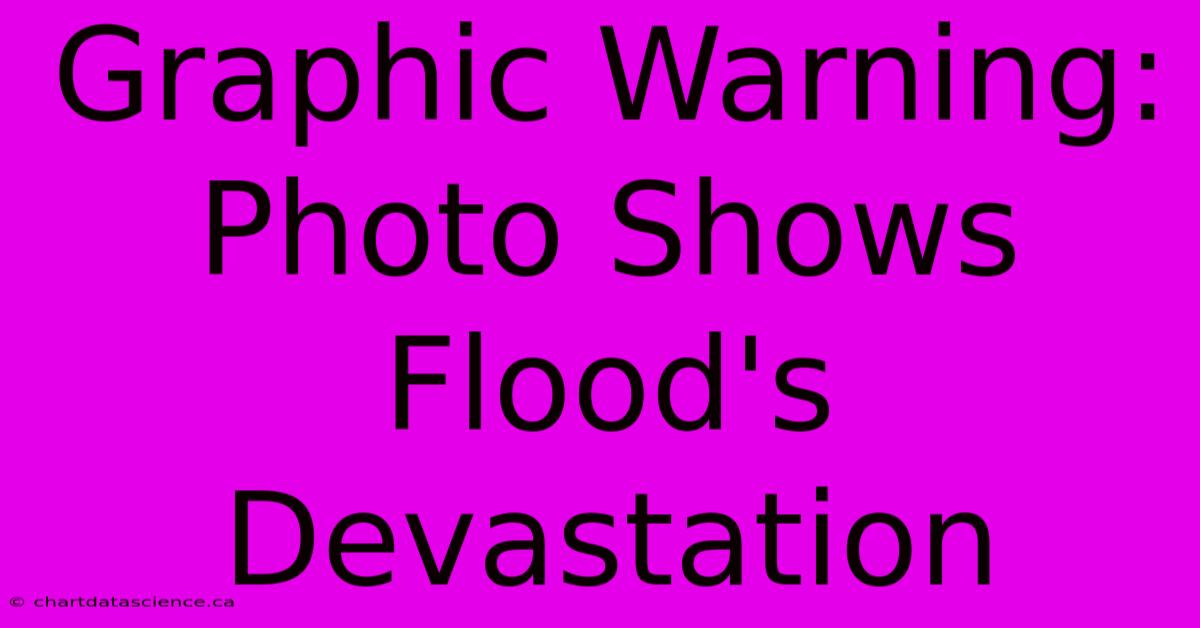 Graphic Warning: Photo Shows Flood's Devastation 