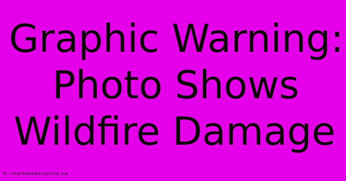 Graphic Warning: Photo Shows Wildfire Damage