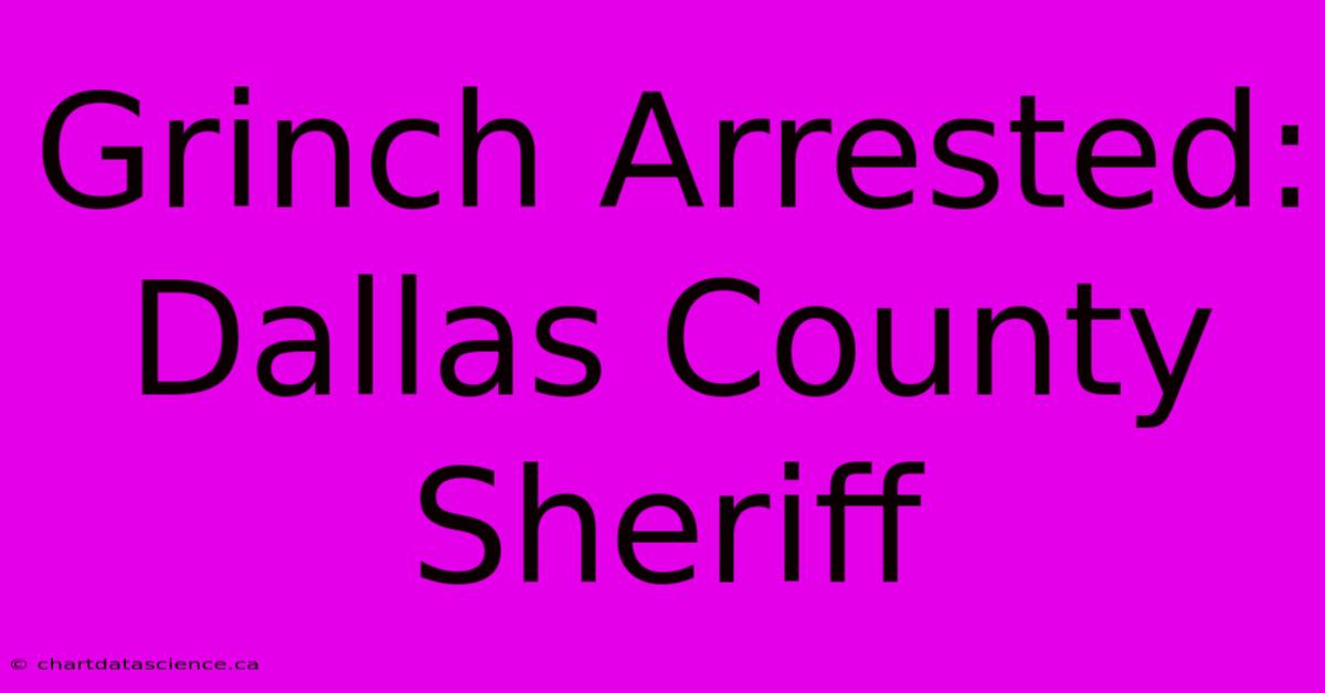 Grinch Arrested: Dallas County Sheriff