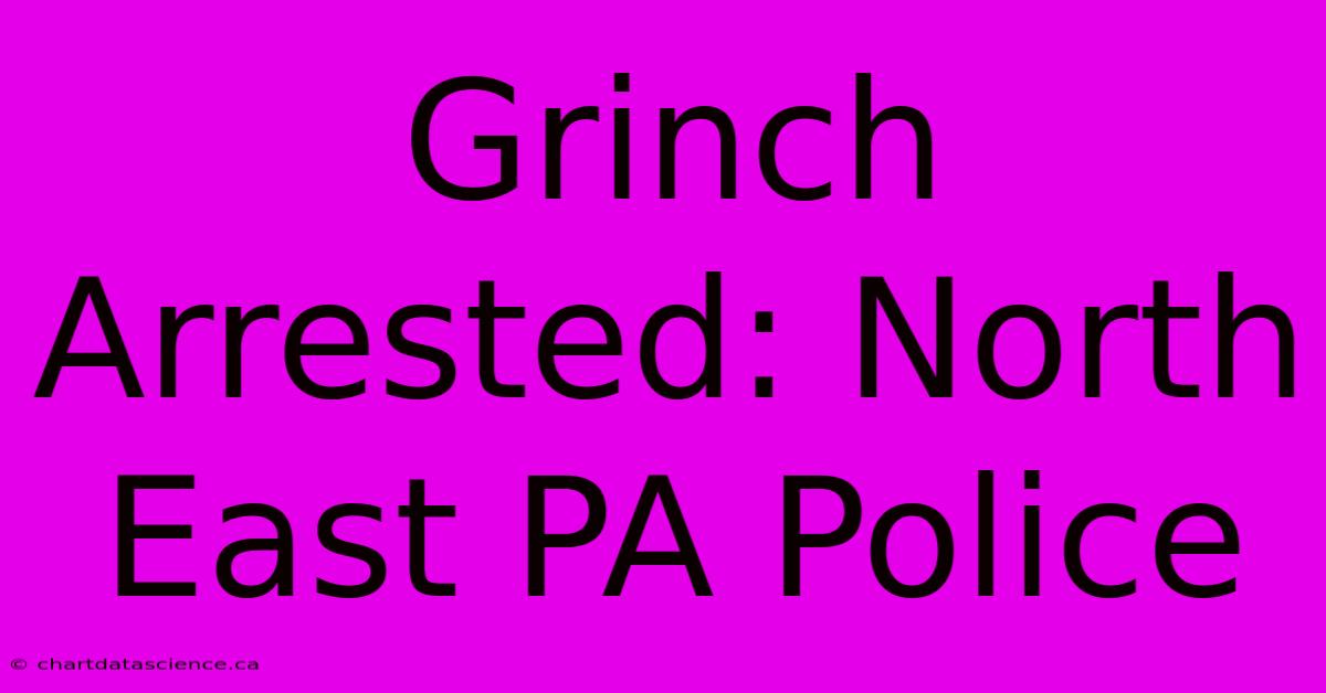 Grinch Arrested: North East PA Police