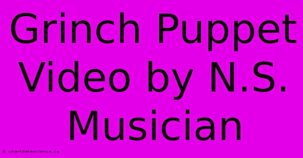 Grinch Puppet Video By N.S. Musician