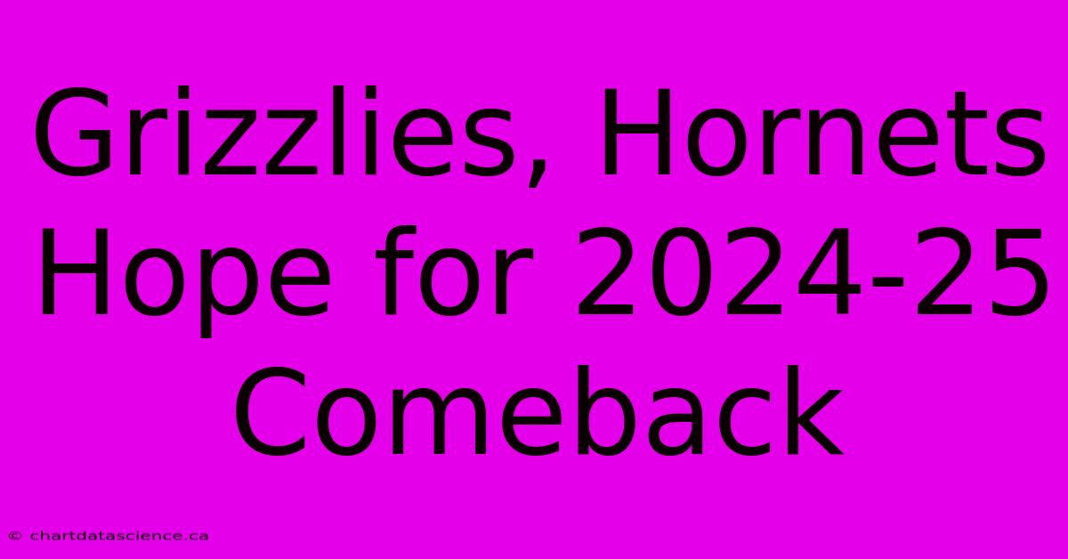 Grizzlies, Hornets Hope For 2024-25 Comeback