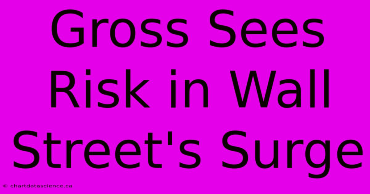 Gross Sees Risk In Wall Street's Surge