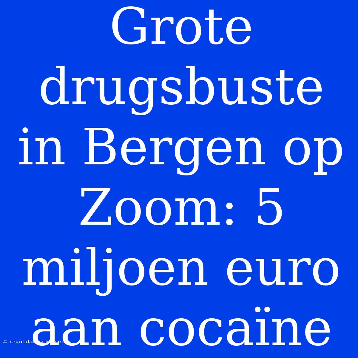 Grote Drugsbuste In Bergen Op Zoom: 5 Miljoen Euro Aan Cocaïne