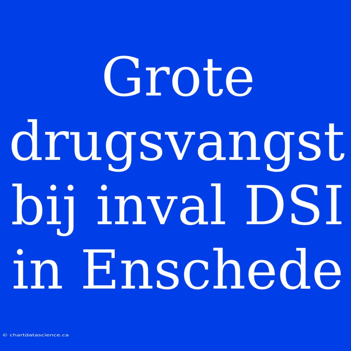 Grote Drugsvangst Bij Inval DSI In Enschede