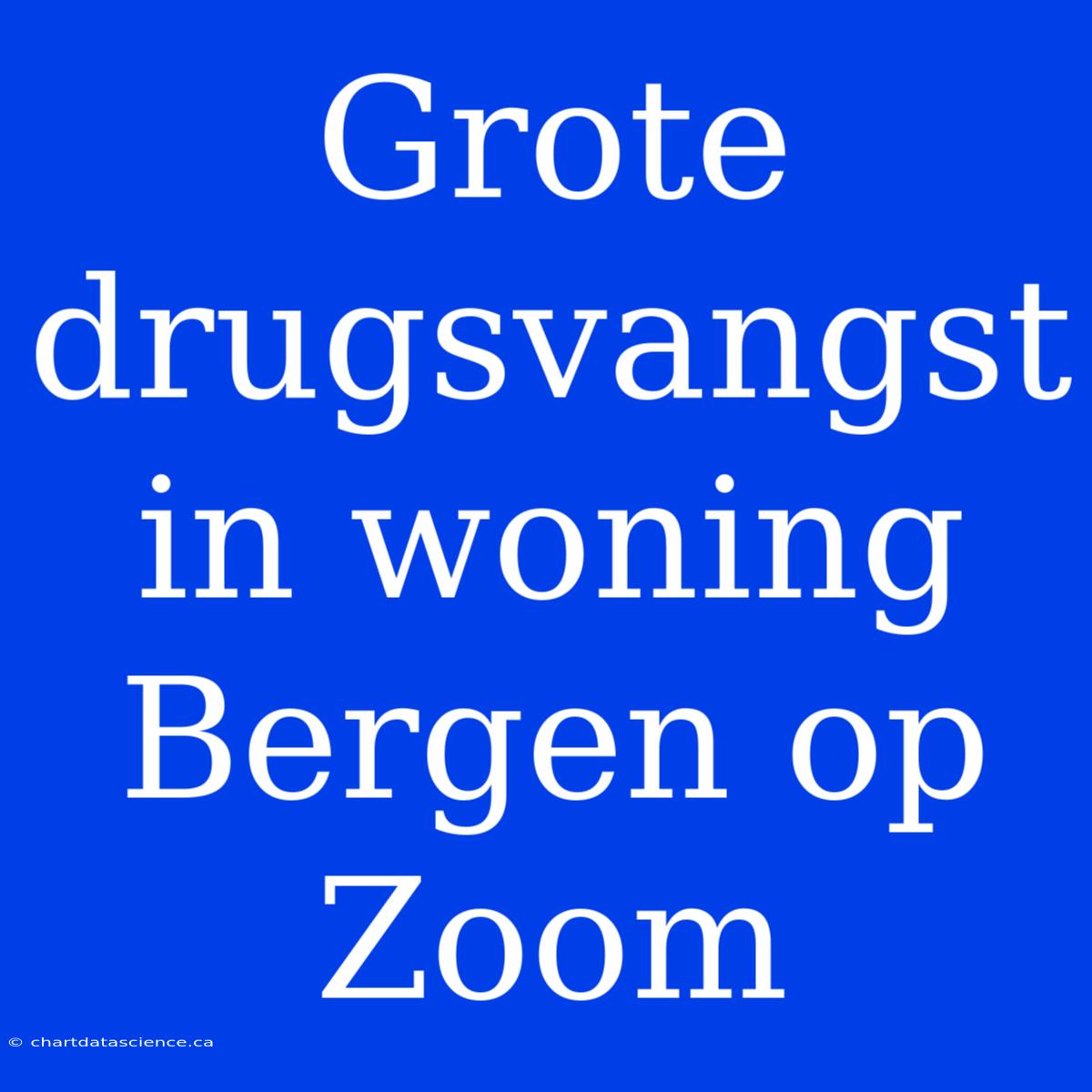 Grote Drugsvangst In Woning Bergen Op Zoom