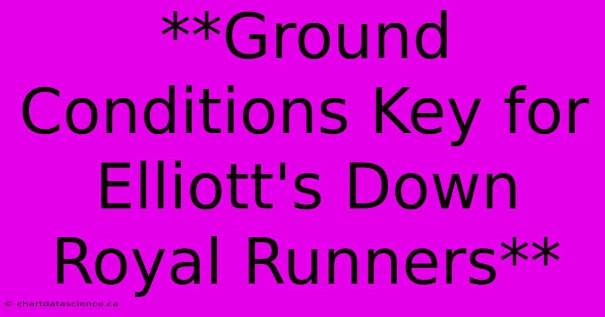 **Ground Conditions Key For Elliott's Down Royal Runners**