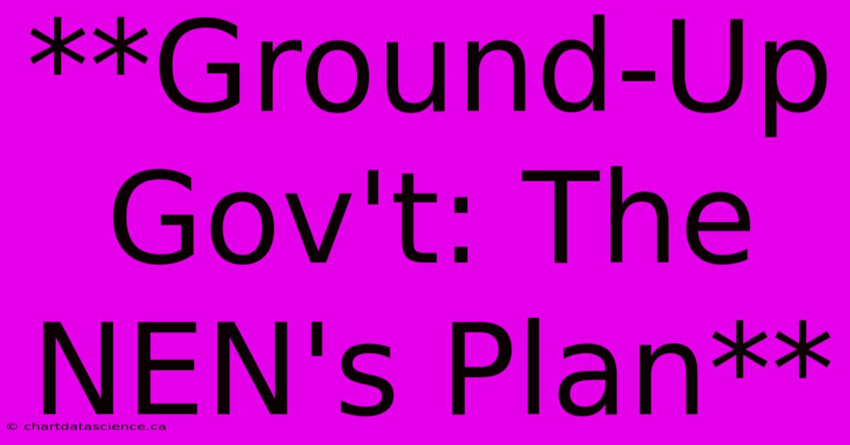 **Ground-Up Gov't: The NEN's Plan**