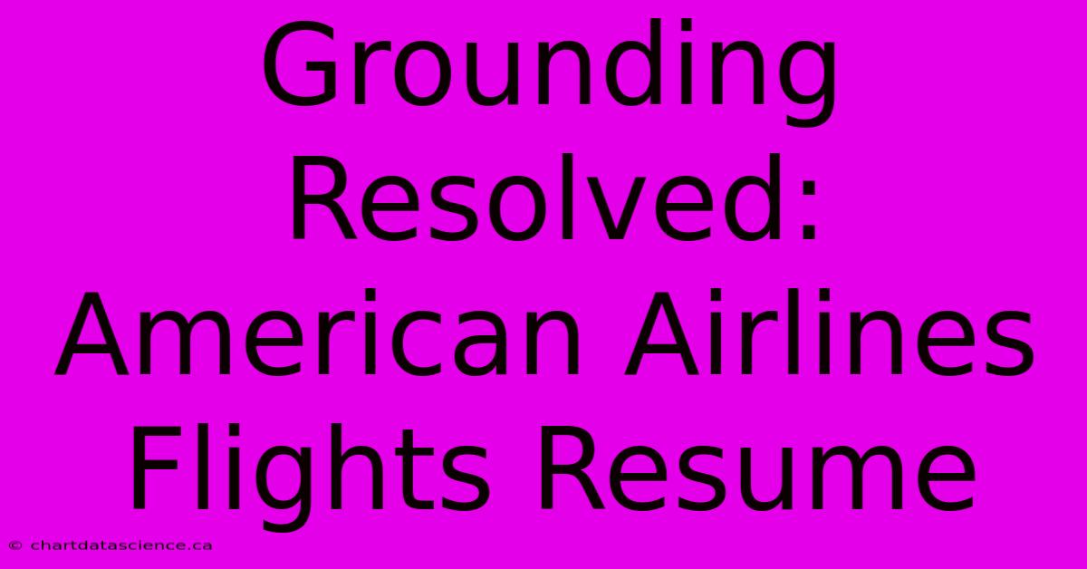 Grounding Resolved: American Airlines Flights Resume