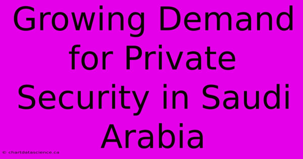 Growing Demand For Private Security In Saudi Arabia 