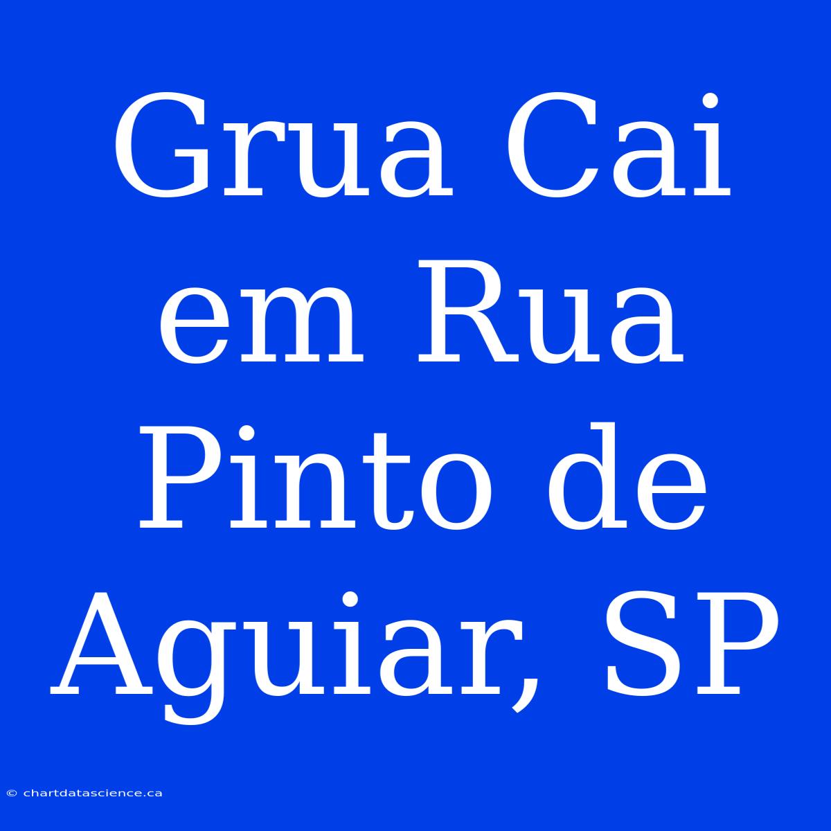 Grua Cai Em Rua Pinto De Aguiar, SP