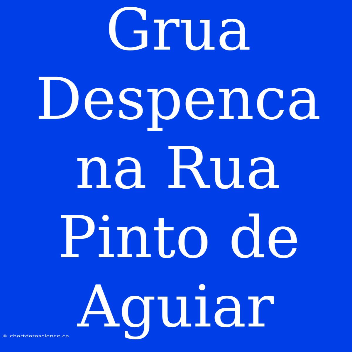 Grua Despenca Na Rua Pinto De Aguiar