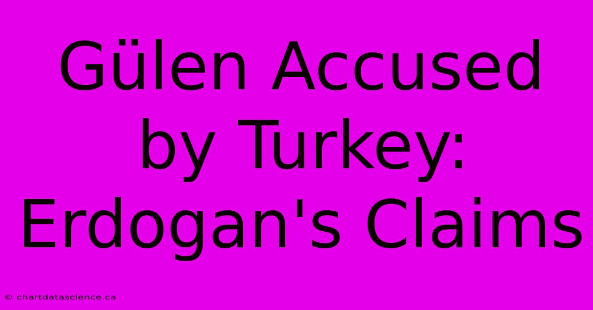 Gülen Accused By Turkey: Erdogan's Claims