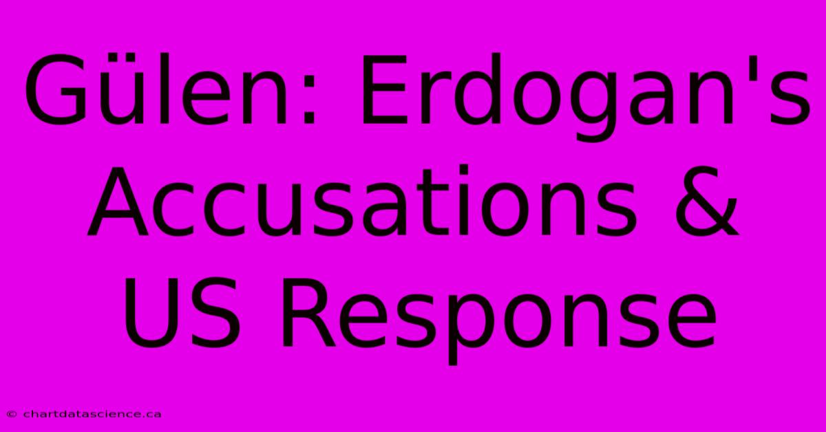 Gülen: Erdogan's Accusations & US Response