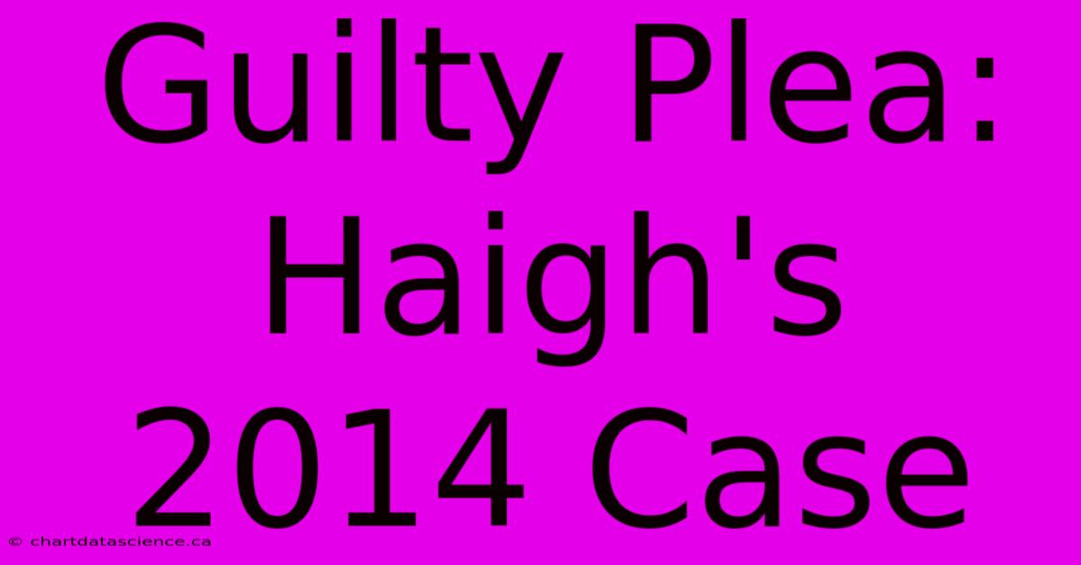 Guilty Plea: Haigh's 2014 Case