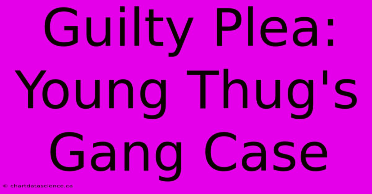 Guilty Plea: Young Thug's Gang Case