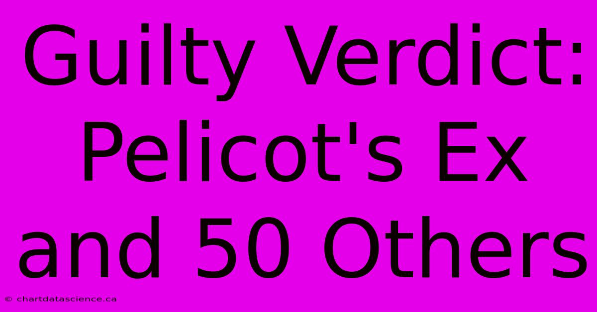 Guilty Verdict: Pelicot's Ex And 50 Others