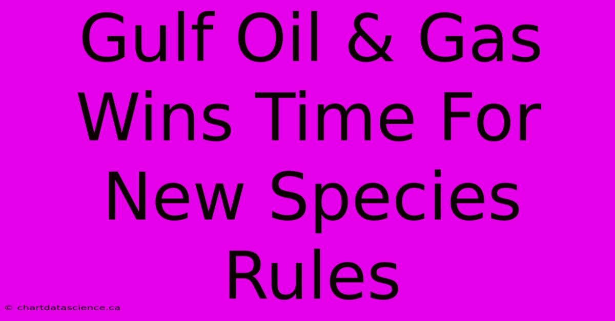 Gulf Oil & Gas Wins Time For New Species Rules