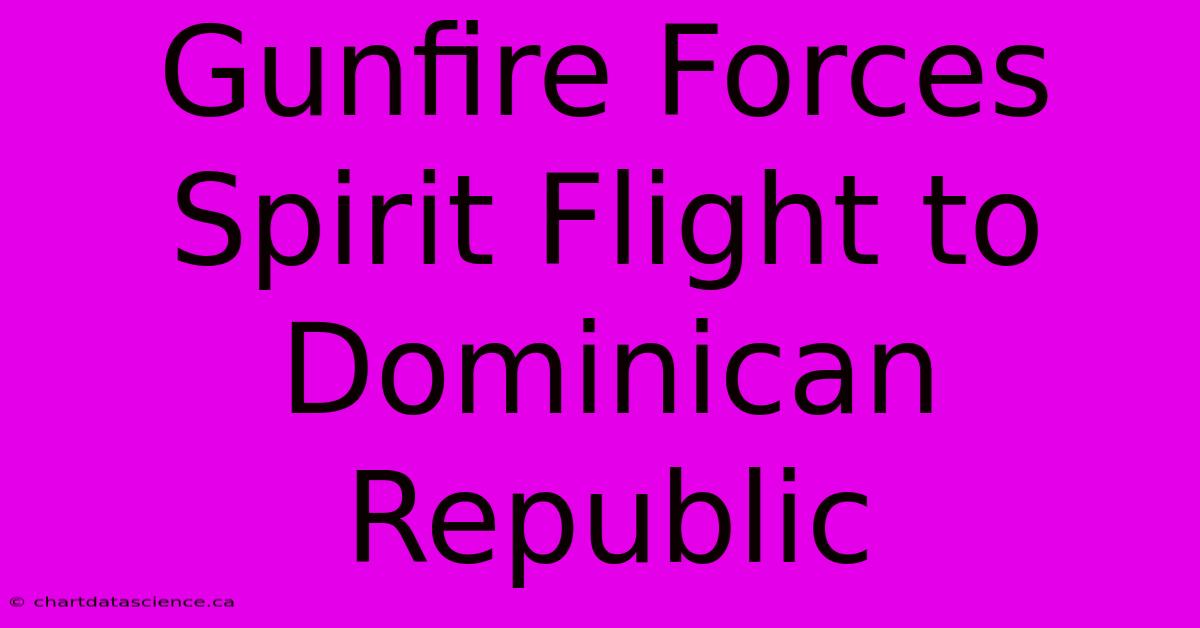 Gunfire Forces Spirit Flight To Dominican Republic 