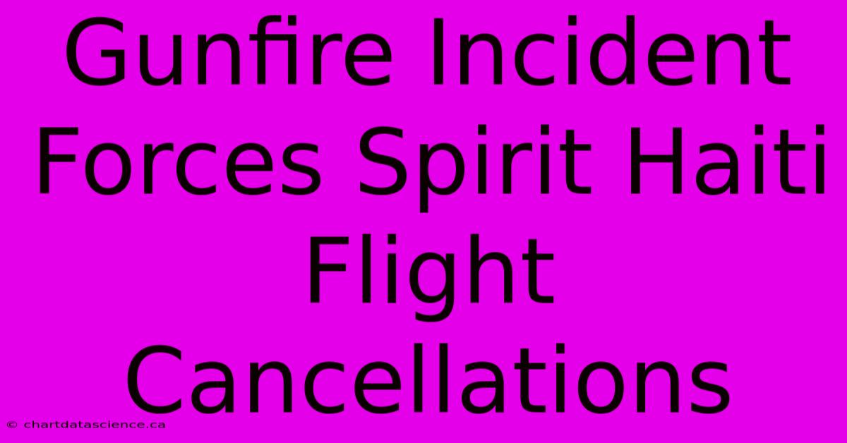 Gunfire Incident Forces Spirit Haiti Flight Cancellations