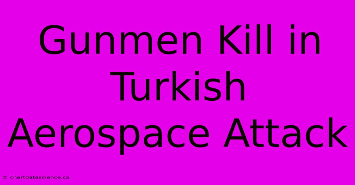 Gunmen Kill In Turkish Aerospace Attack 