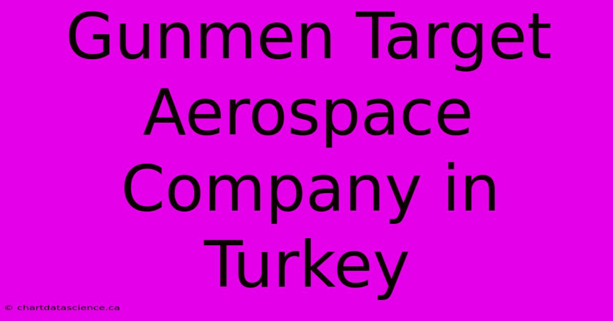 Gunmen Target Aerospace Company In Turkey