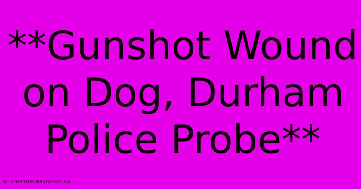 **Gunshot Wound On Dog, Durham Police Probe**