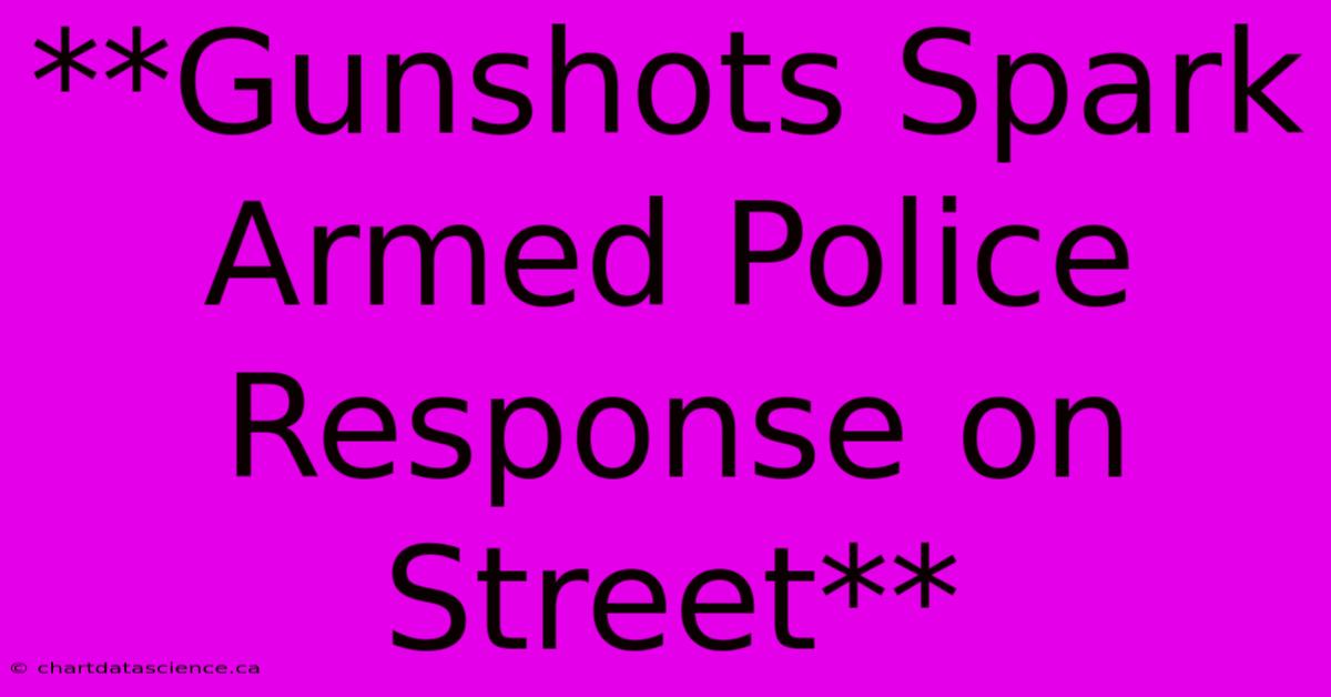 **Gunshots Spark Armed Police Response On Street**