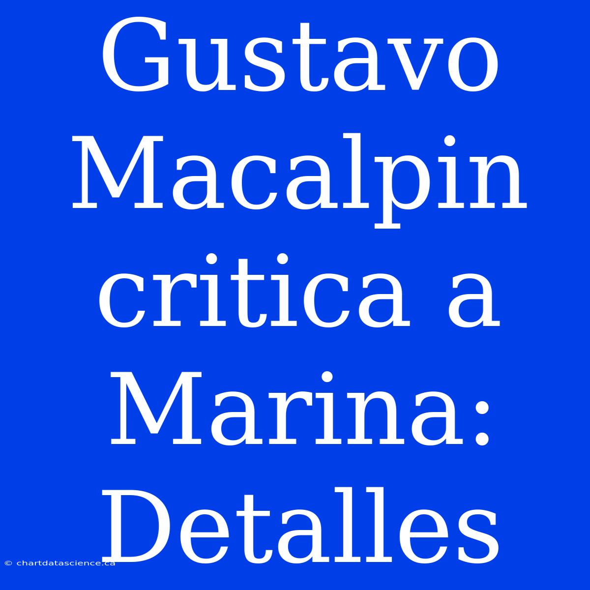 Gustavo Macalpin Critica A Marina: Detalles