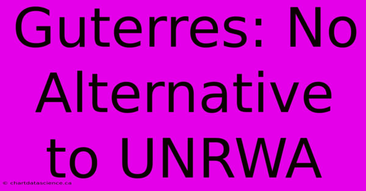 Guterres: No Alternative To UNRWA