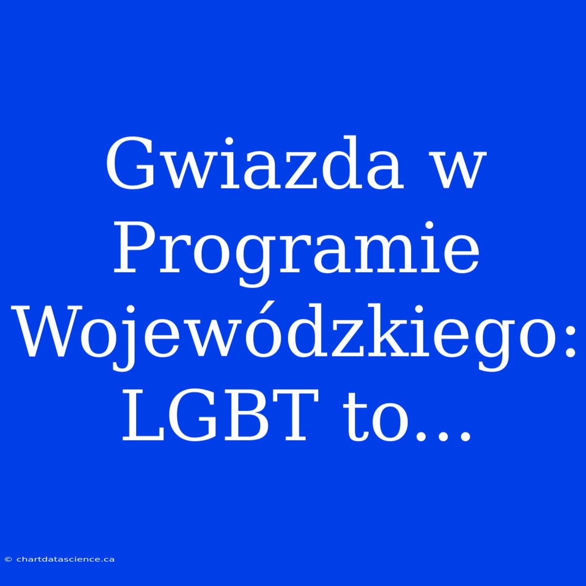 Gwiazda W Programie Wojewódzkiego: LGBT To...