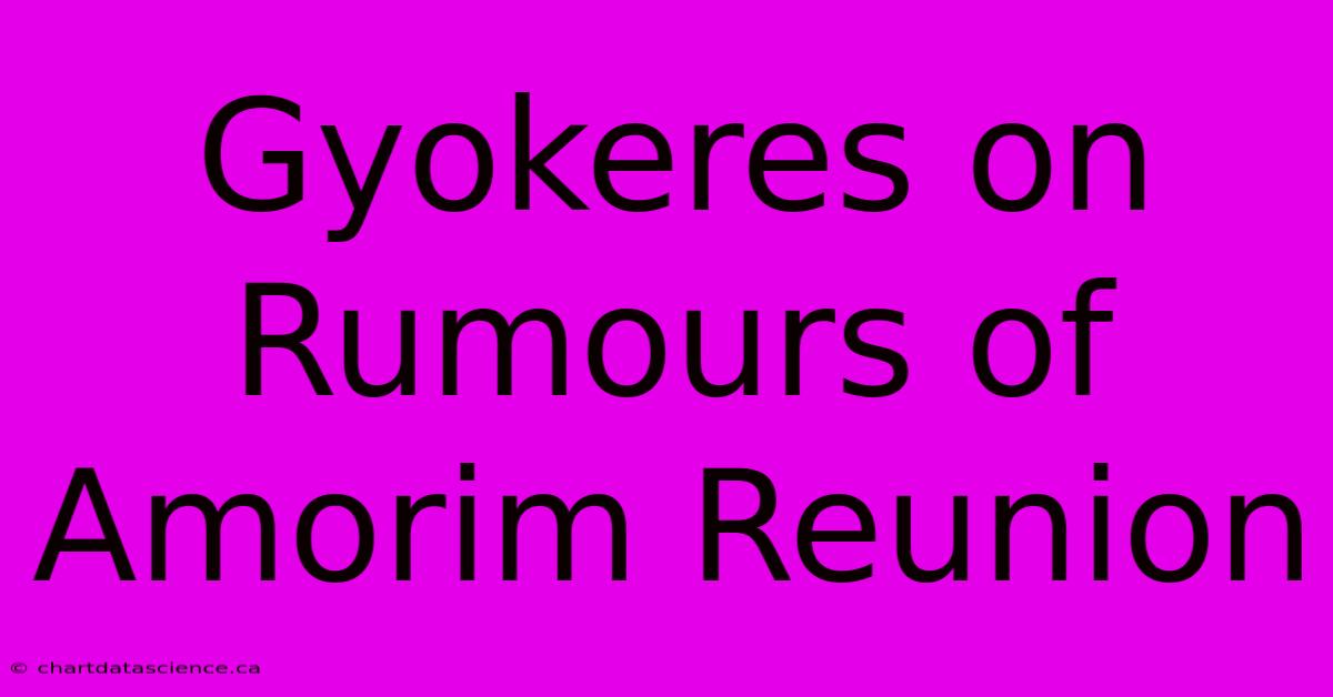 Gyokeres On Rumours Of Amorim Reunion 