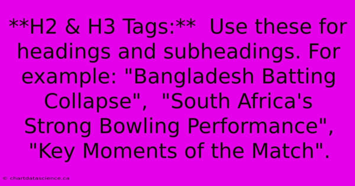 **H2 & H3 Tags:**  Use These For Headings And Subheadings. For Example: 