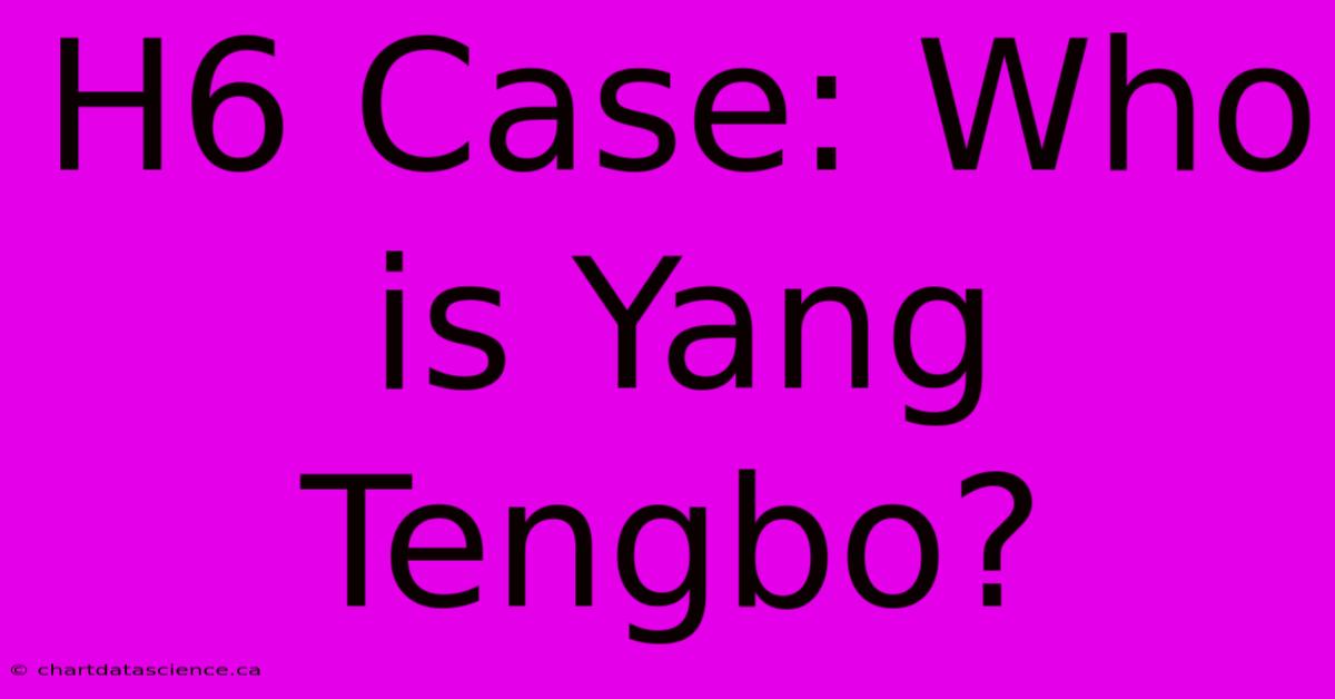 H6 Case: Who Is Yang Tengbo?