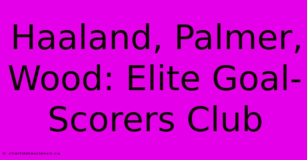 Haaland, Palmer, Wood: Elite Goal-Scorers Club 