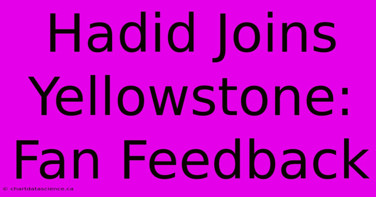 Hadid Joins Yellowstone: Fan Feedback