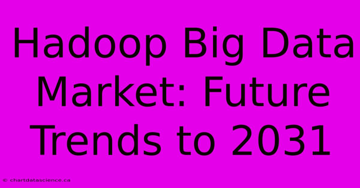 Hadoop Big Data Market: Future Trends To 2031