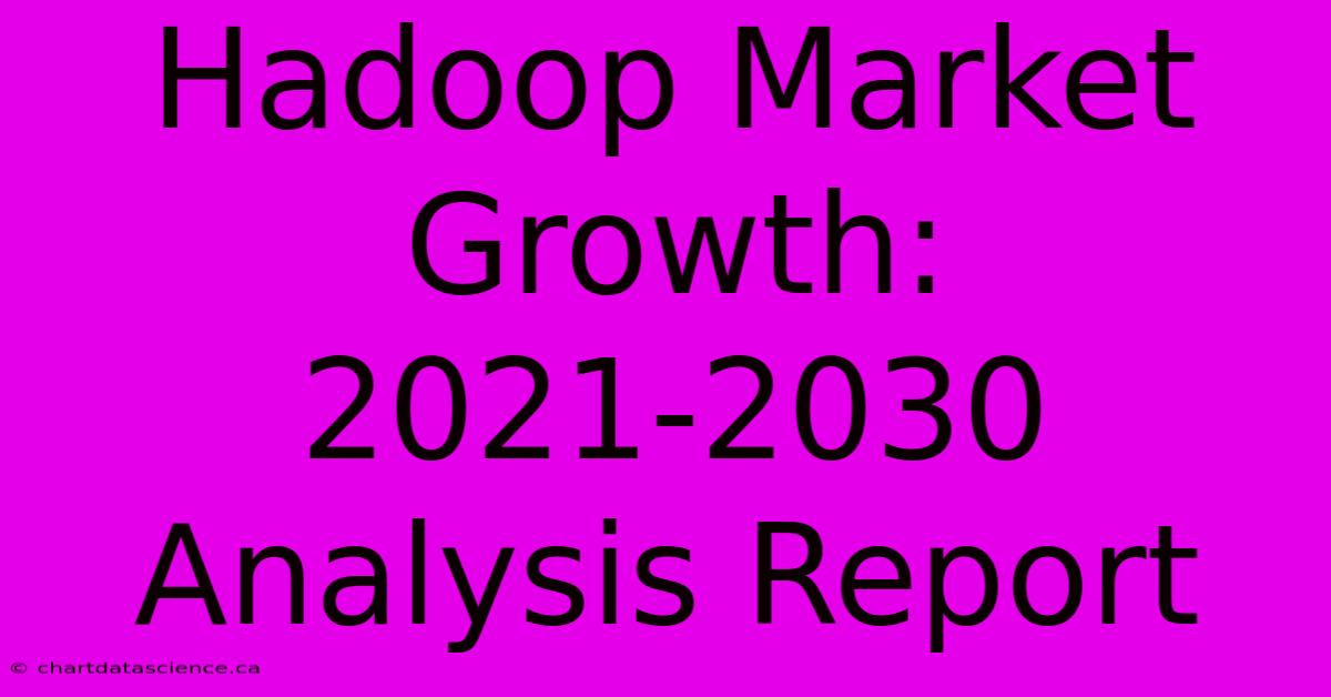 Hadoop Market Growth: 2021-2030 Analysis Report