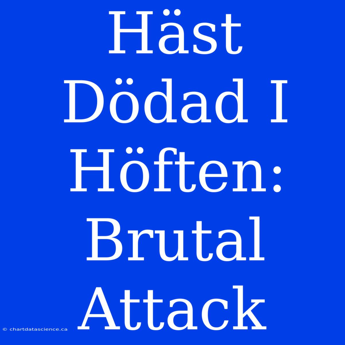 Häst Dödad I Höften: Brutal Attack