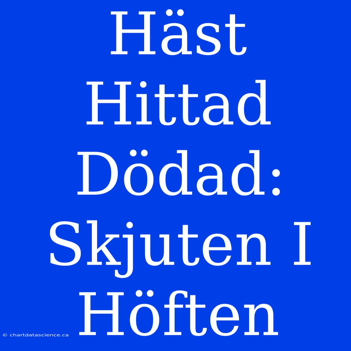 Häst Hittad Dödad: Skjuten I Höften