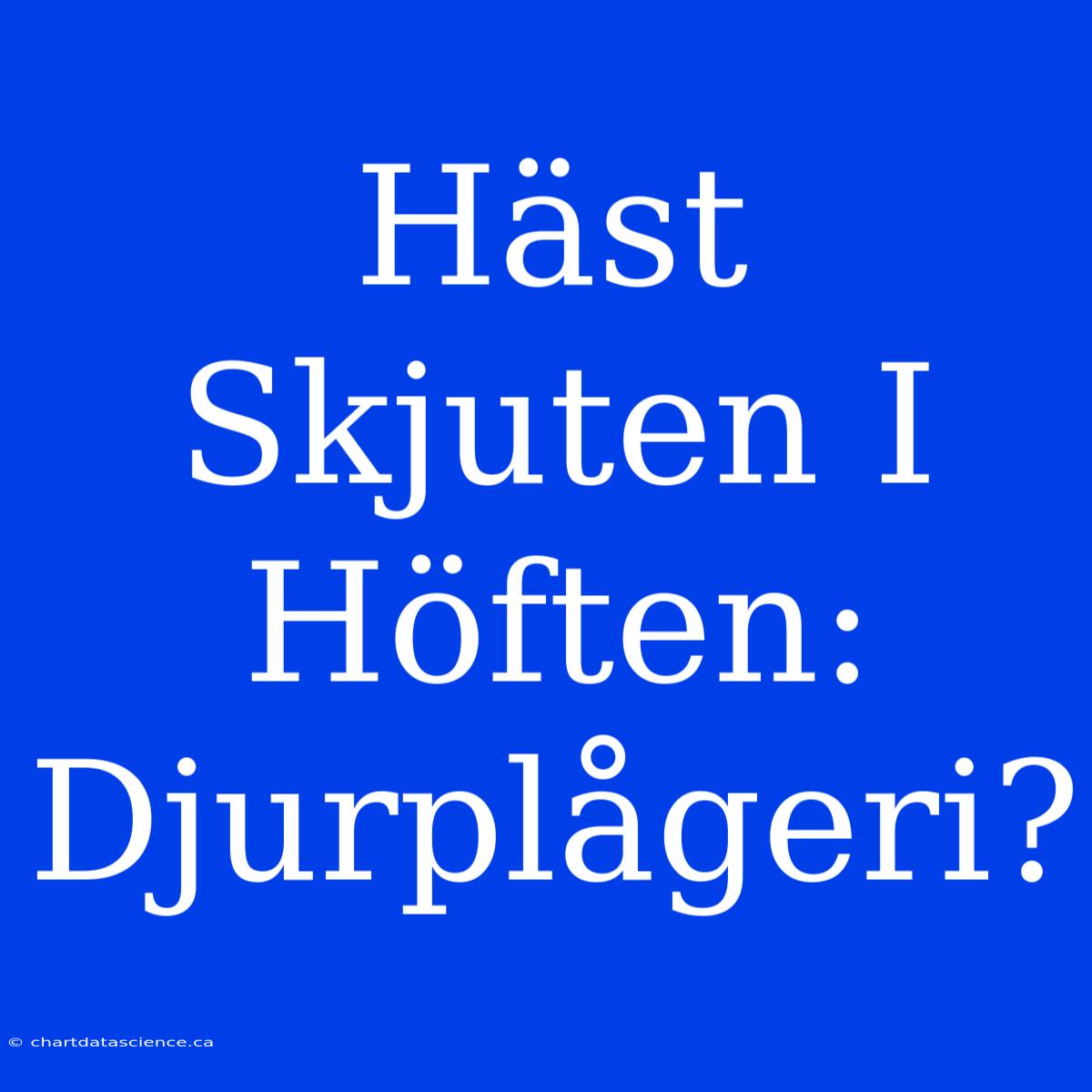 Häst Skjuten I Höften: Djurplågeri?