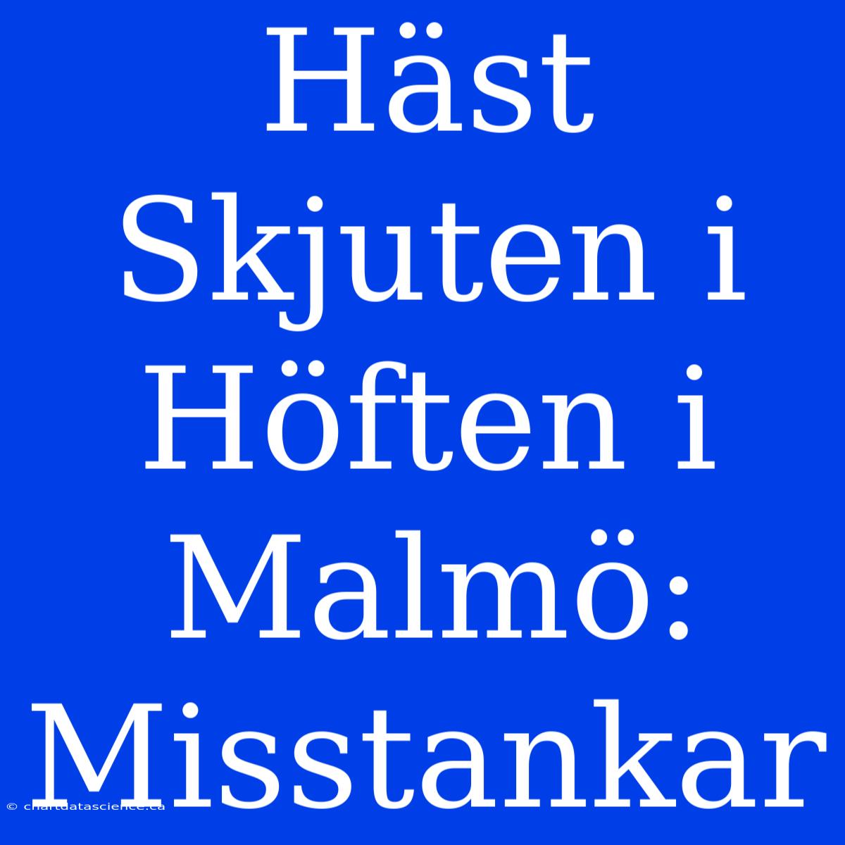 Häst Skjuten I Höften I Malmö: Misstankar