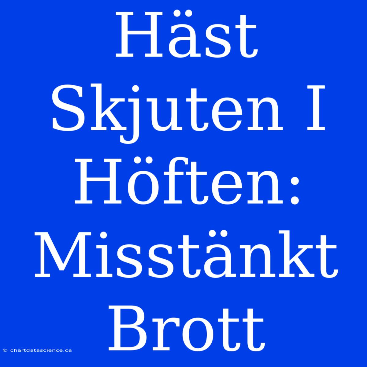 Häst Skjuten I Höften: Misstänkt Brott