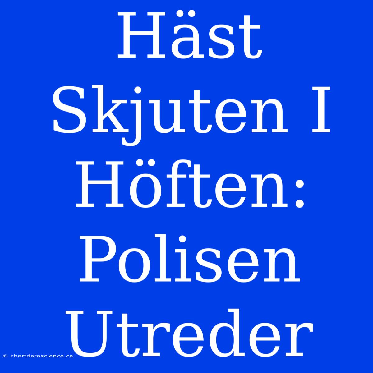 Häst Skjuten I Höften: Polisen Utreder