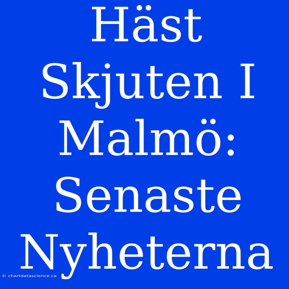 Häst Skjuten I Malmö: Senaste Nyheterna