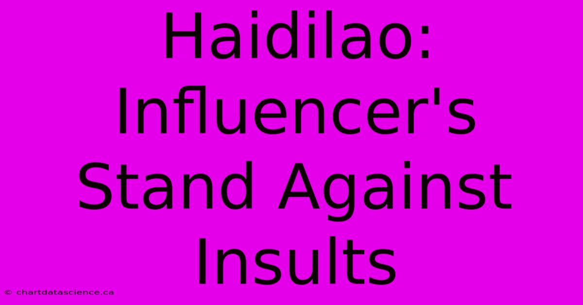 Haidilao: Influencer's Stand Against Insults