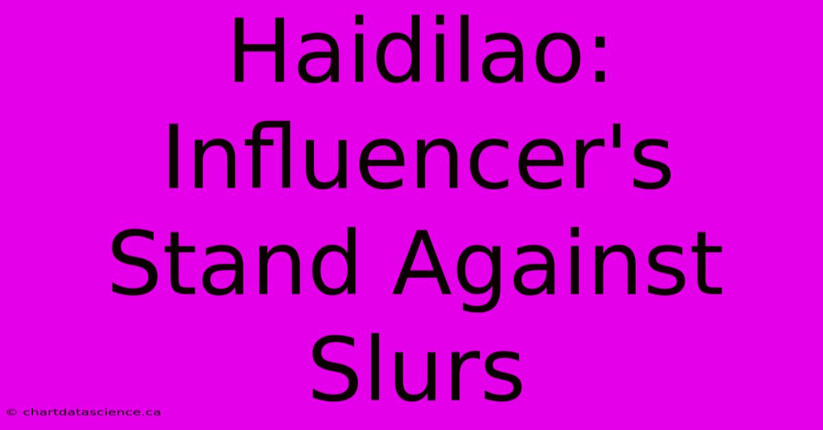 Haidilao: Influencer's Stand Against Slurs