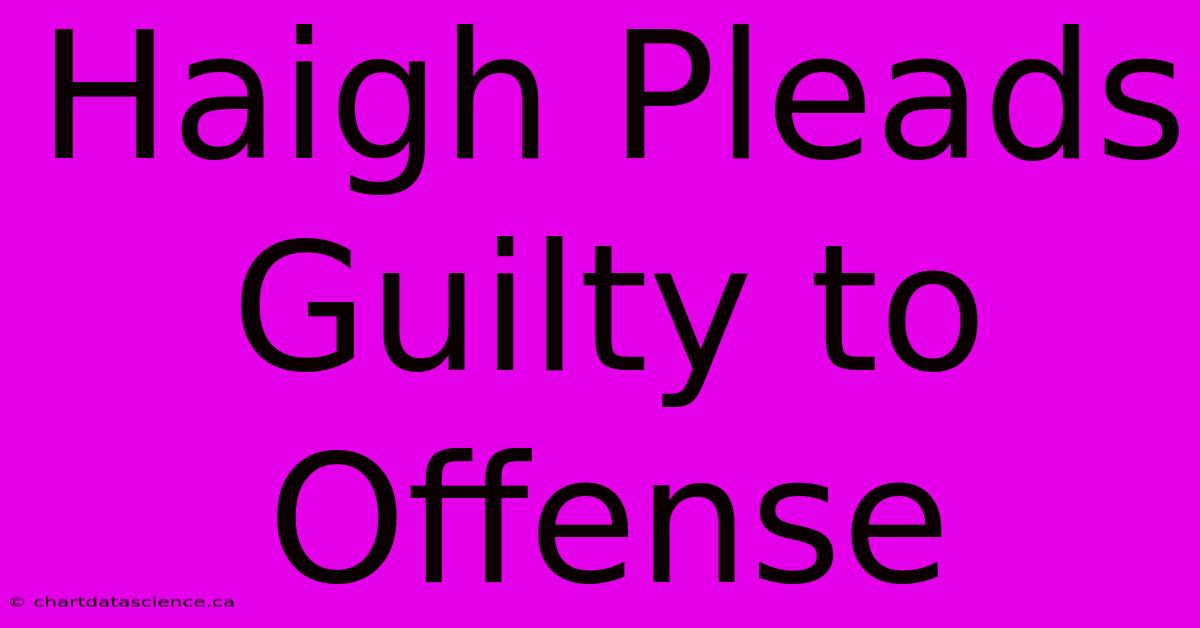 Haigh Pleads Guilty To Offense