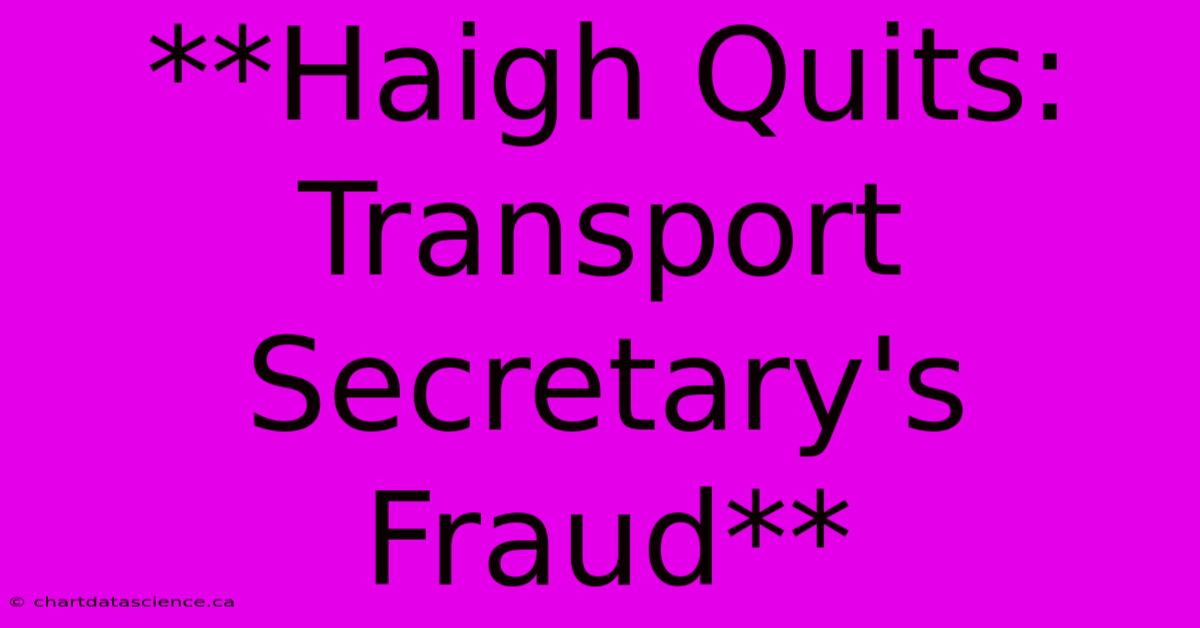 **Haigh Quits: Transport Secretary's Fraud**